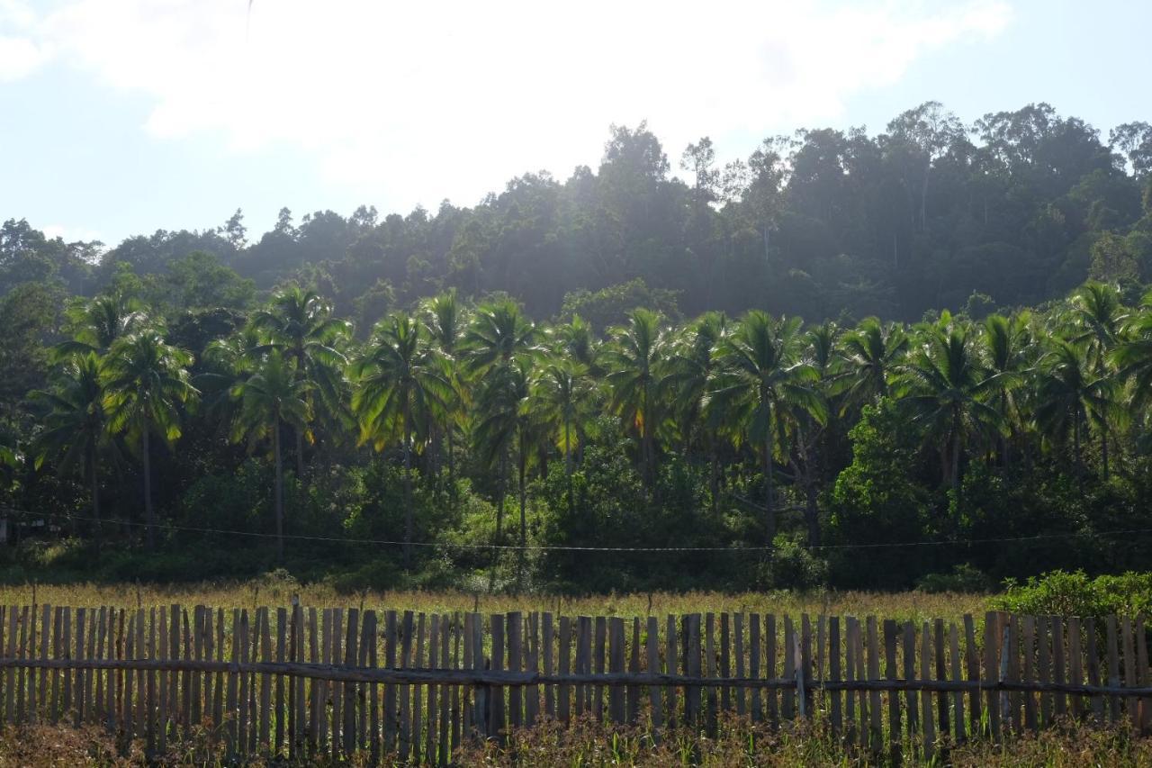 Palayan Paradise Huts San Vicente  Bagian luar foto